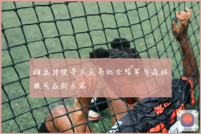 雄鹿持续寻求交易机会绿军与森林狼或成新东家