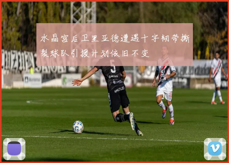 水晶宫后卫里亚德遭遇十字韧带撕裂球队引援计划依旧不变