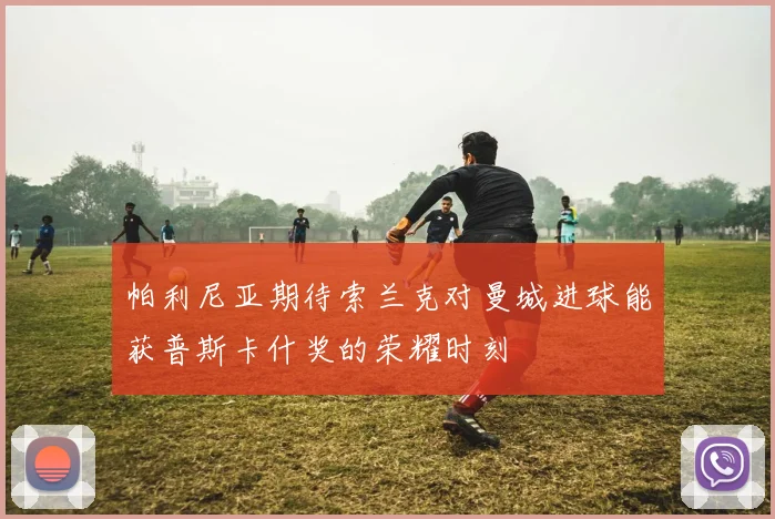 帕利尼亚期待索兰克对曼城进球能获普斯卡什奖的荣耀时刻